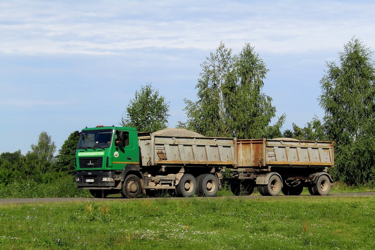 Могилёвская область, № АІ 9907-6 — МАЗ-6501 (общая модель)