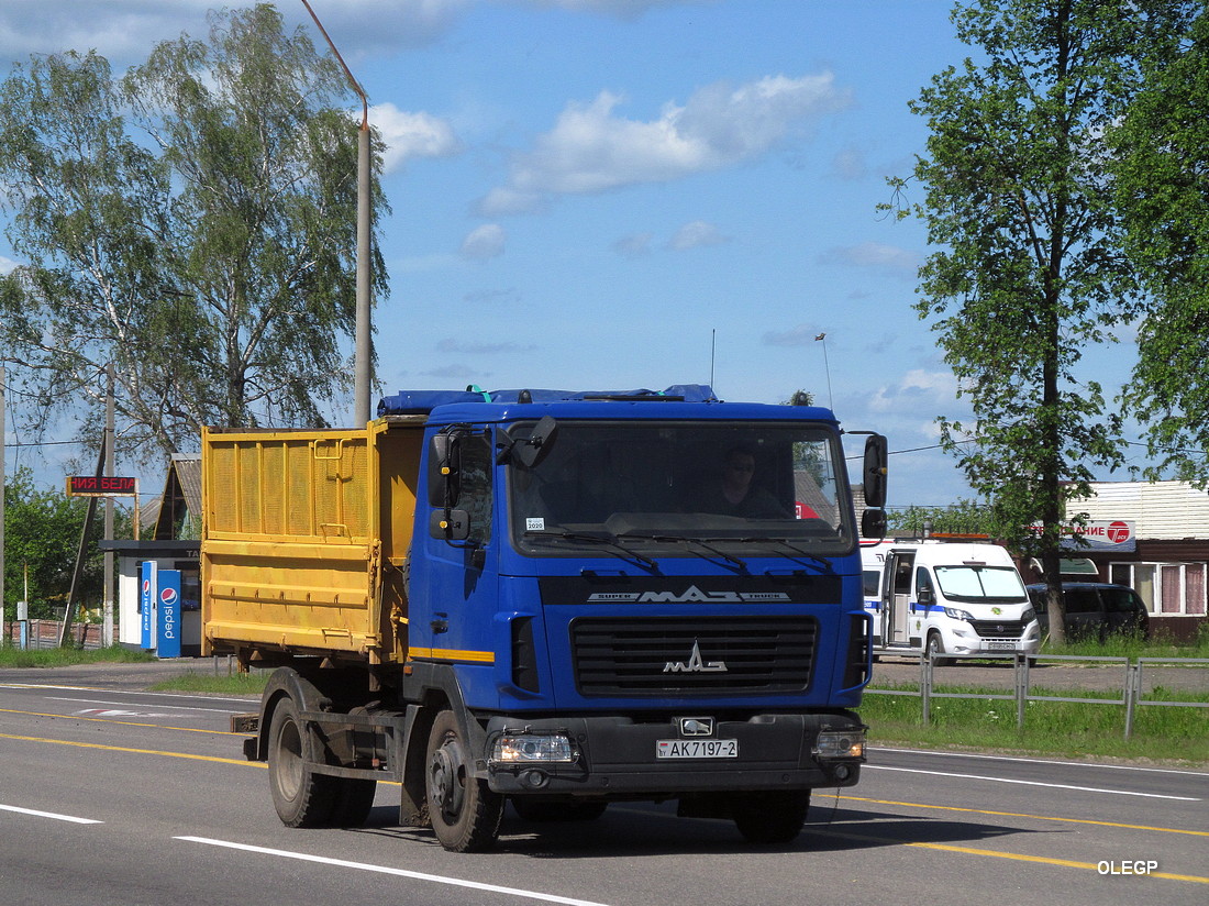 Витебская область, № АК 7197-2 — МАЗ-4571