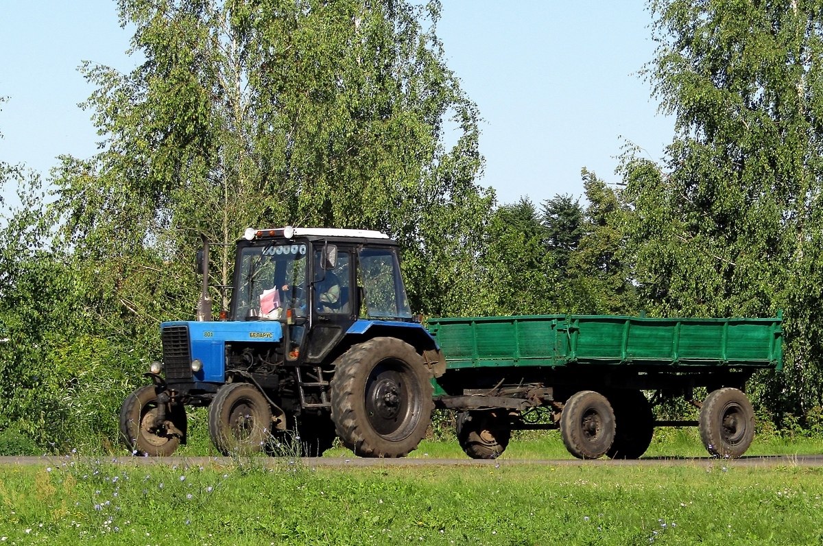 Могилёвская область, № ТК-6 0963 — Беларус-80.1