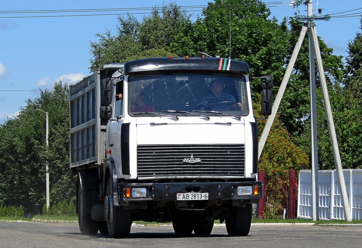 Могилёвская область, № АВ 2813-6 — МАЗ-5551 (общая модель)