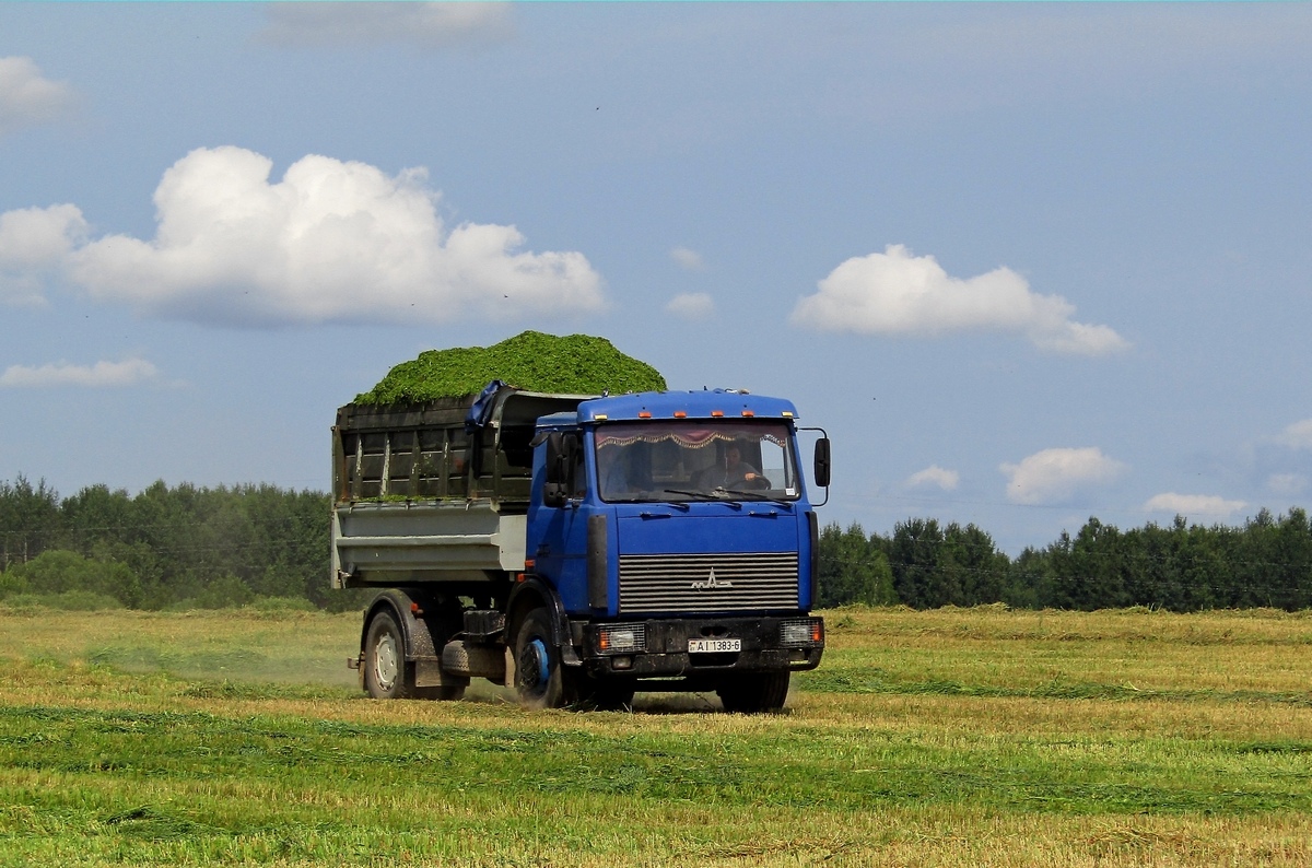 Могилёвская область, № АІ 1383-6 — МАЗ-5551 (общая модель)