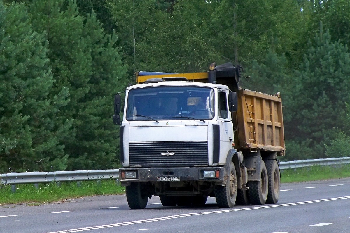 Гомельская область, № АВ 7923-3 — МАЗ-5516 (общая модель)