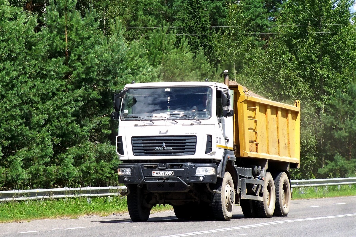 Гомельская область, № АК 8150-3 — МАЗ (общая модель)