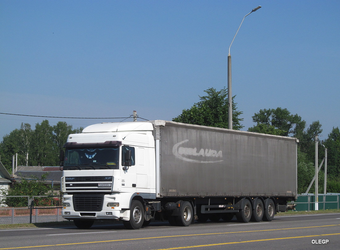 Гомельская область, № АМ 8089-3 — DAF XF95 FT