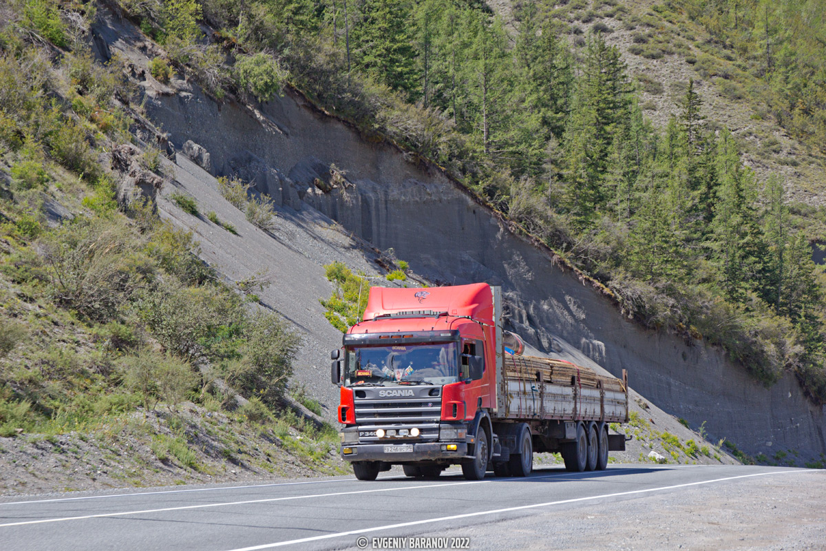 Алтай, № В 246 ВС 04 — Scania ('1996) P340