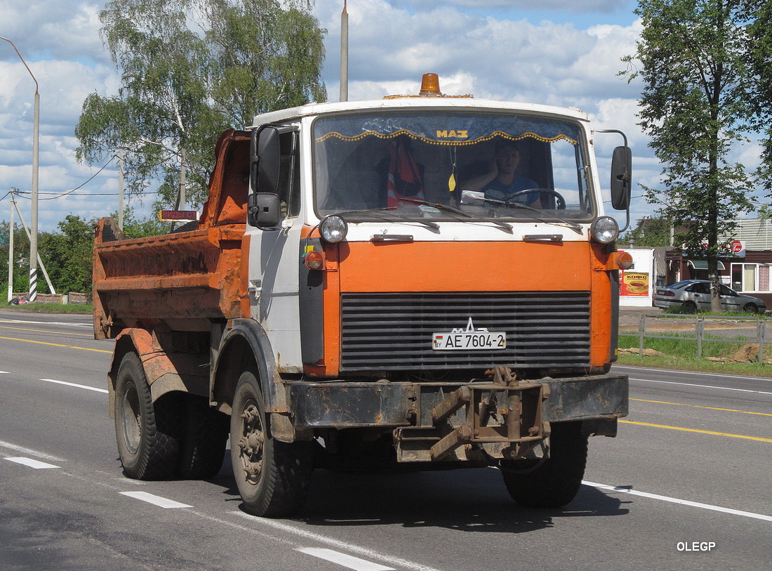 Витебская область, № АЕ 7604-2 — МАЗ-5551 (общая модель)