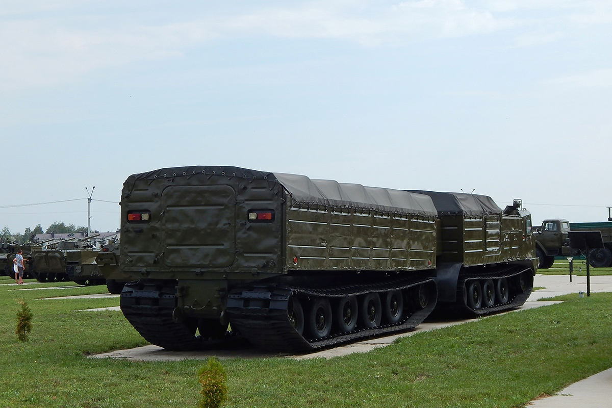 Воронежская область, № 00-56 ГМ — ДТ-30 (общая модель)