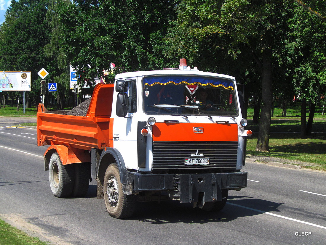 Витебская область, № АЕ 7603-2 — МАЗ-5551 (общая модель)