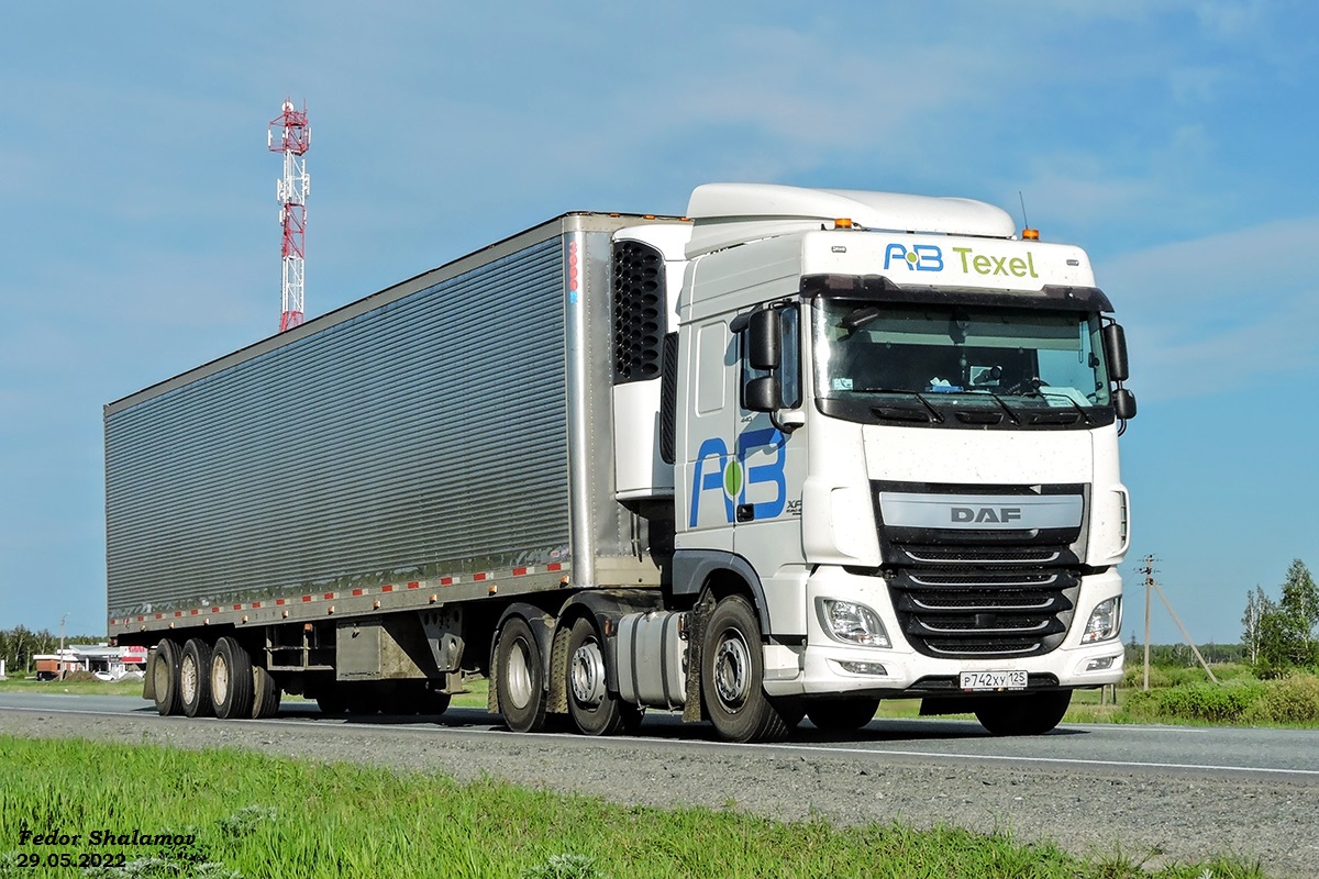 Приморский край, № Р 742 ХУ 125 — DAF XF Euro6 FTG