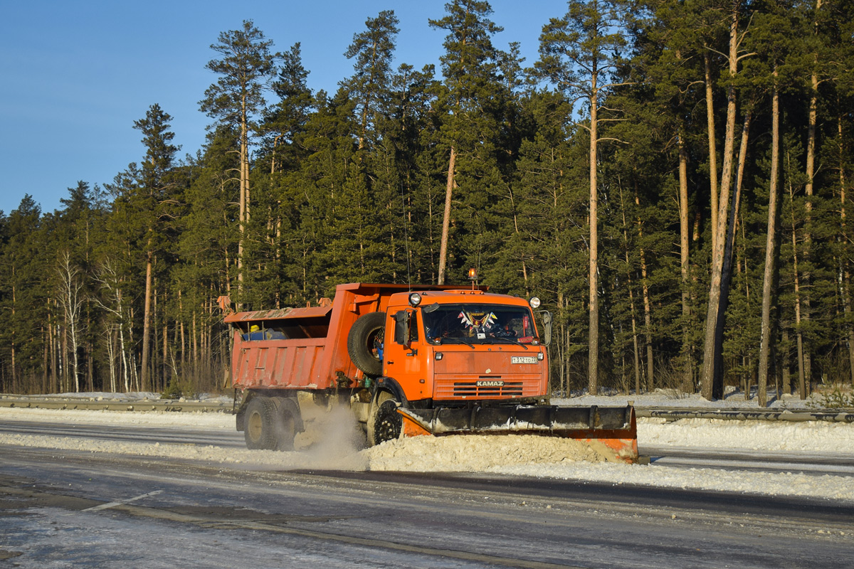 Алтайский край, № Т 312 ТО 22 — КамАЗ-65115-62