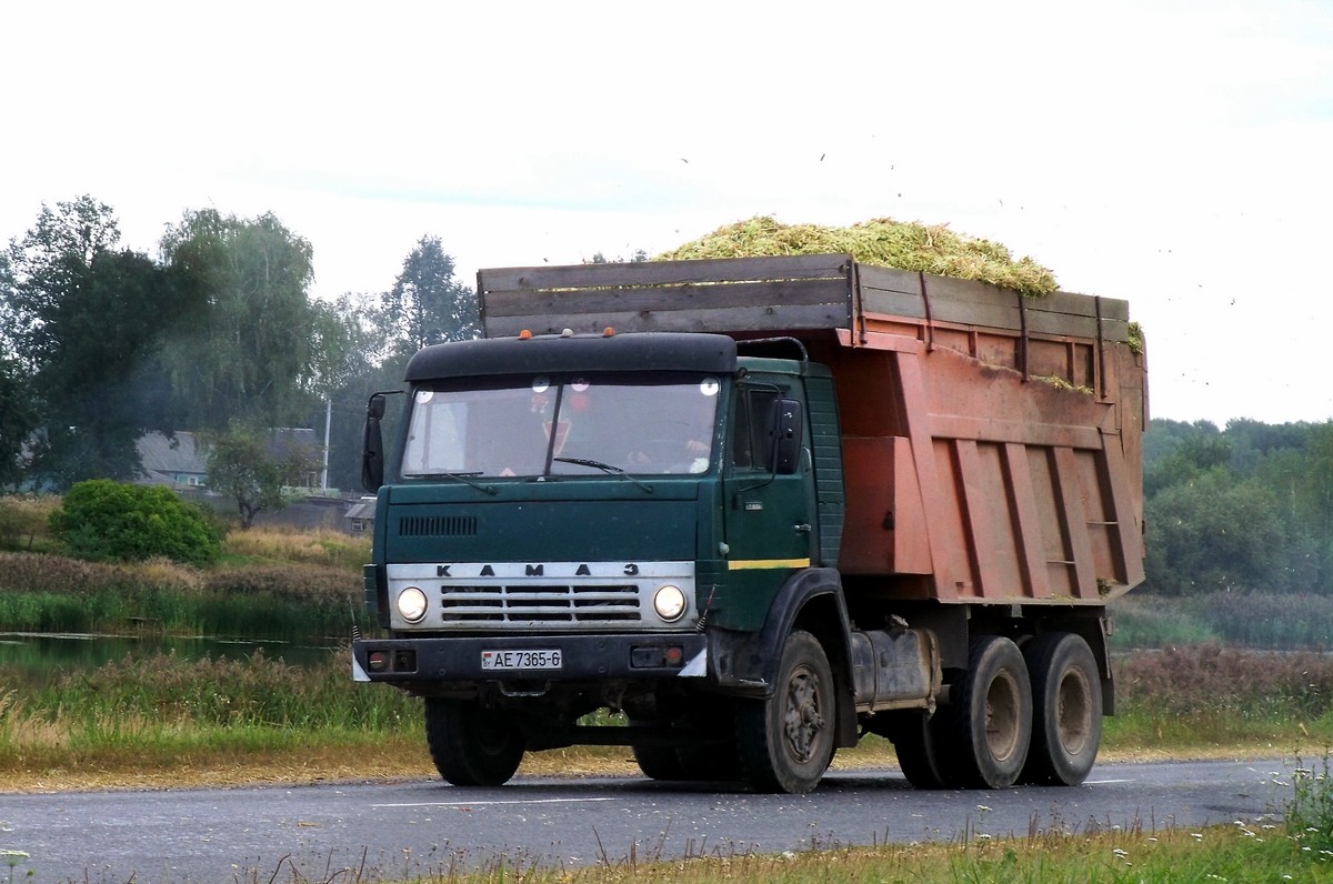 Могилёвская область, № АЕ 7365-6 — КамАЗ-55111 (общая модель)