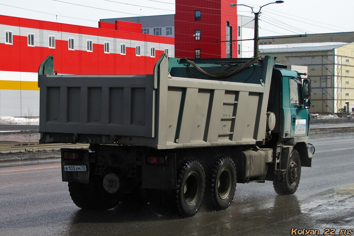 Томская область, № В 105 ХМ 70 — Tatra 815-250S01