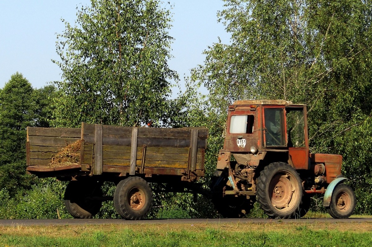 Могилёвская область, № 8151 ИЮ — Т-25А