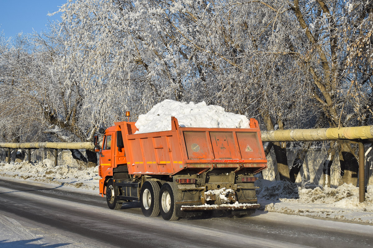 Алтайский край, № В 660 ХР 22 — КамАЗ-65115-42