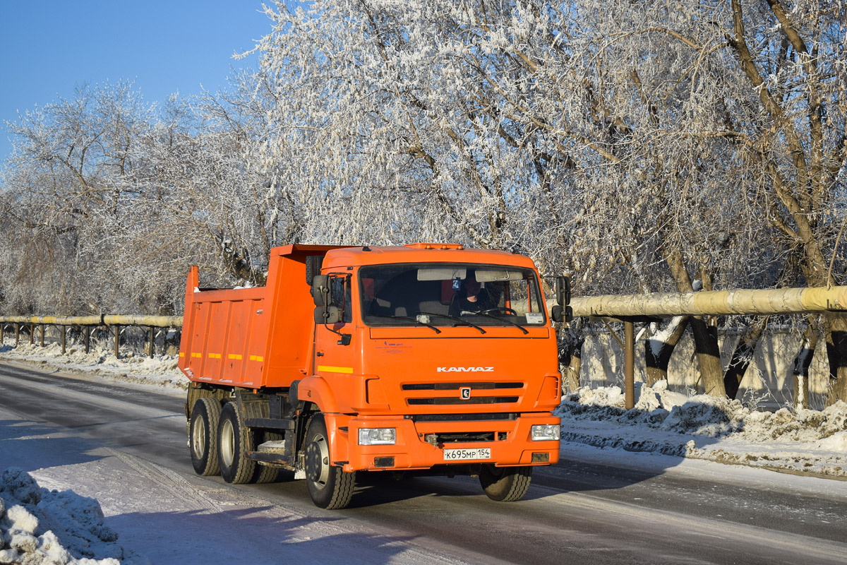 Алтайский край, № К 695 МР 154 — КамАЗ-65115-L4