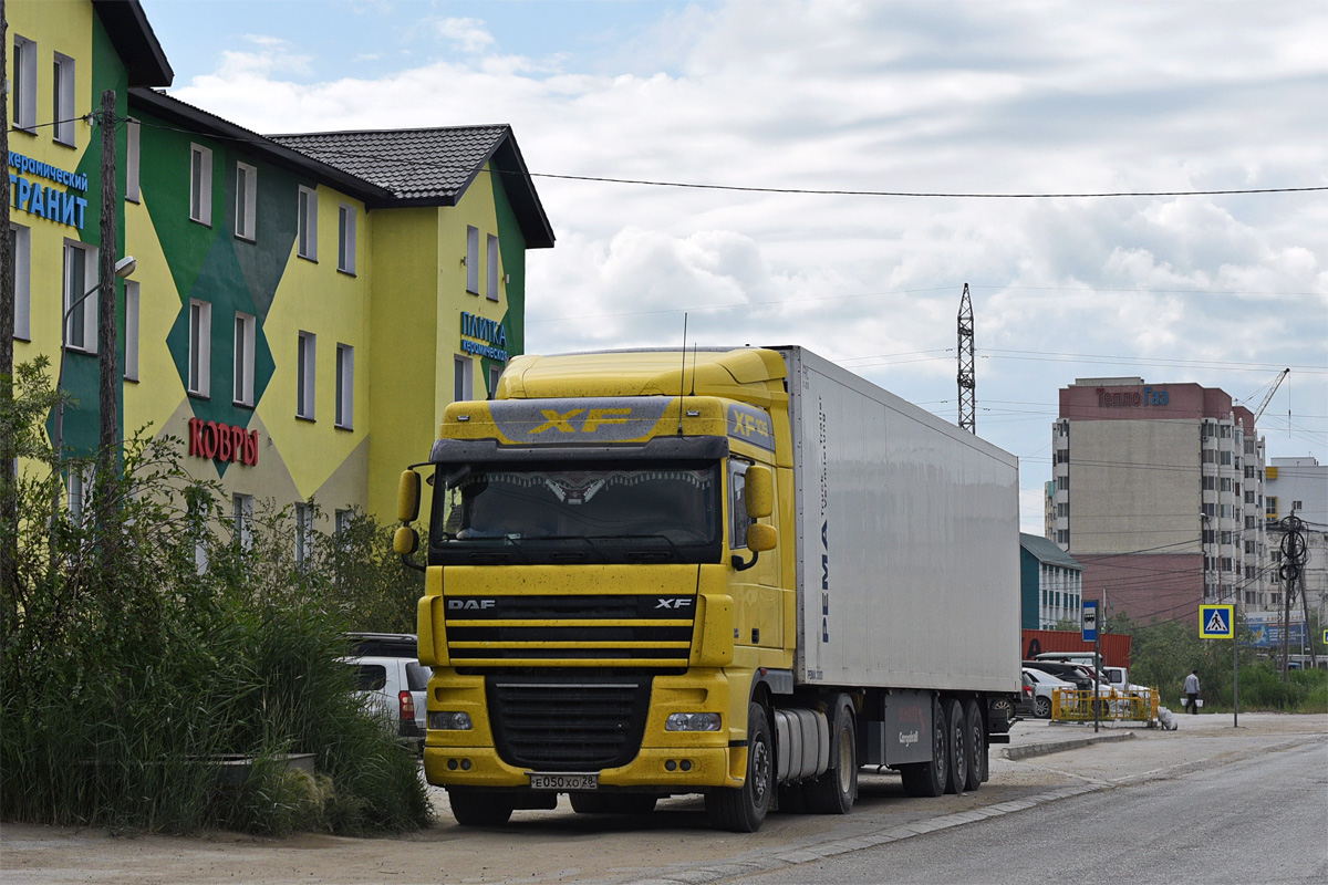 Амурская область, № Е 050 ХО 28 — DAF XF105 FT