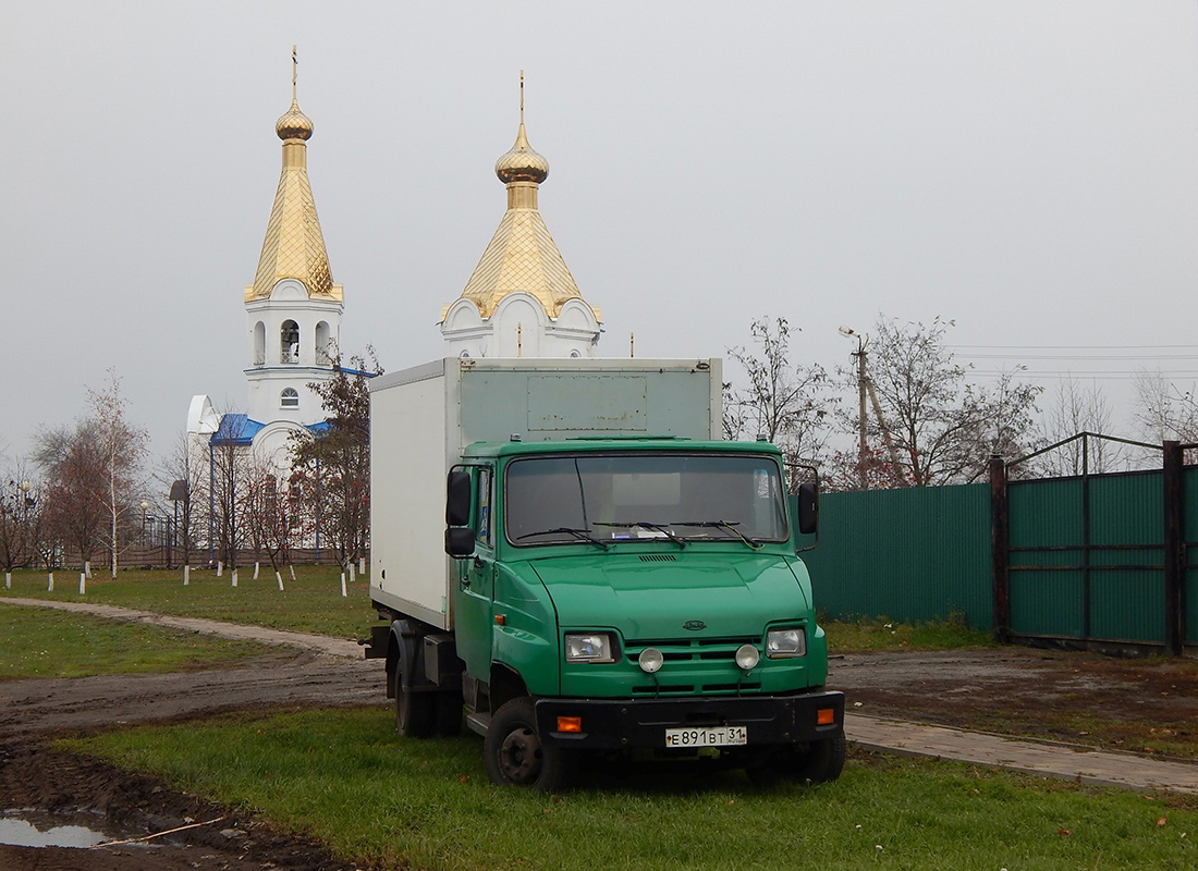 Белгородская область, № Е 891 ВТ 31 — ЗИЛ-5301 "Бычок"(общая модель)