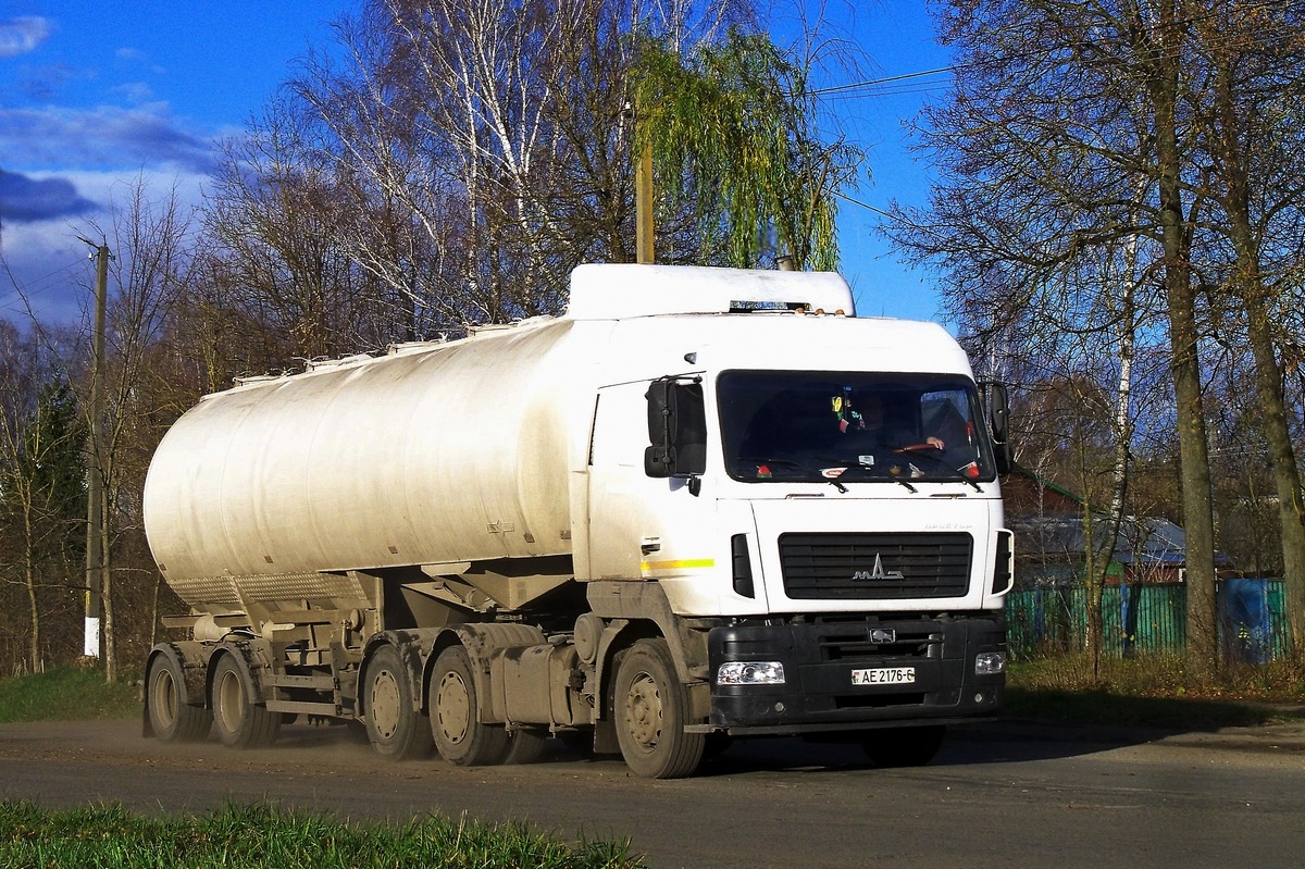 Могилёвская область, № АЕ 2176-6 — МАЗ-6430 (общая модель)