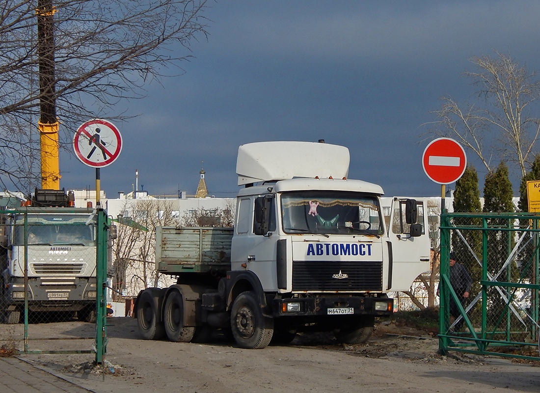 Белгородская область, № М 647 ОТ 31 — МАЗ-6422A5