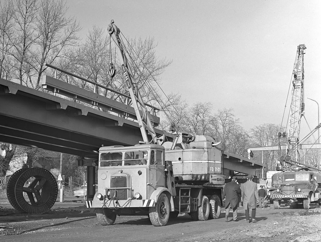 Венгрия, № FD-31-01 — Leyland (общая модель); Венгрия — Исторические фотографии (Автомобили)