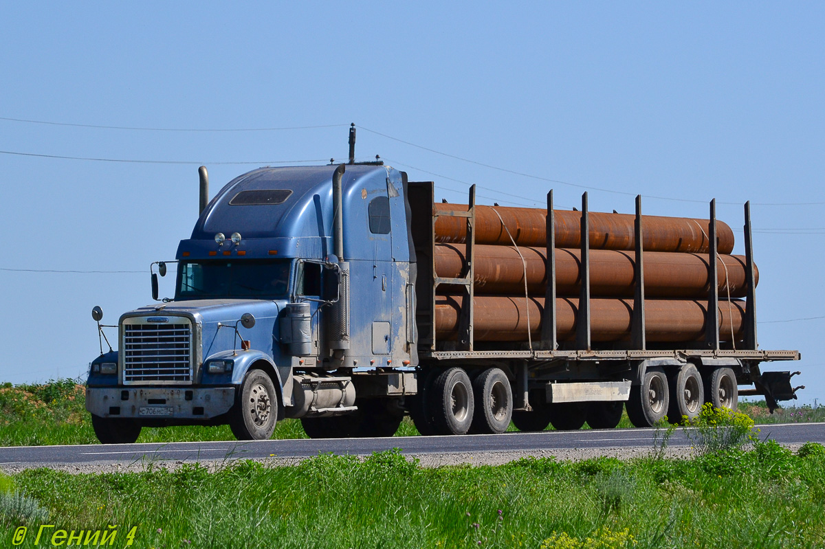 Волгоградская область, № С 706 МС 34 — Freightliner FLD 132 Classic XL