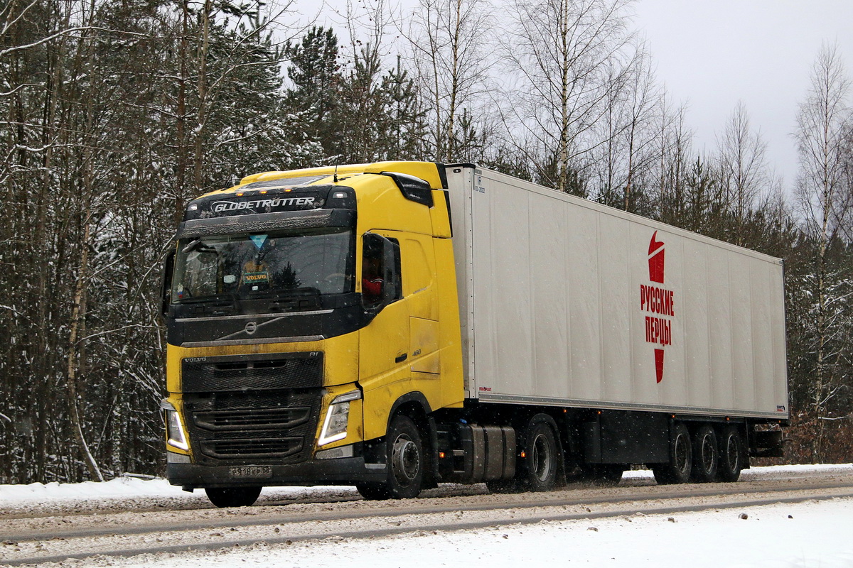 Пензенская область, № Р 918 КР 58 — Volvo ('2012) FH.460