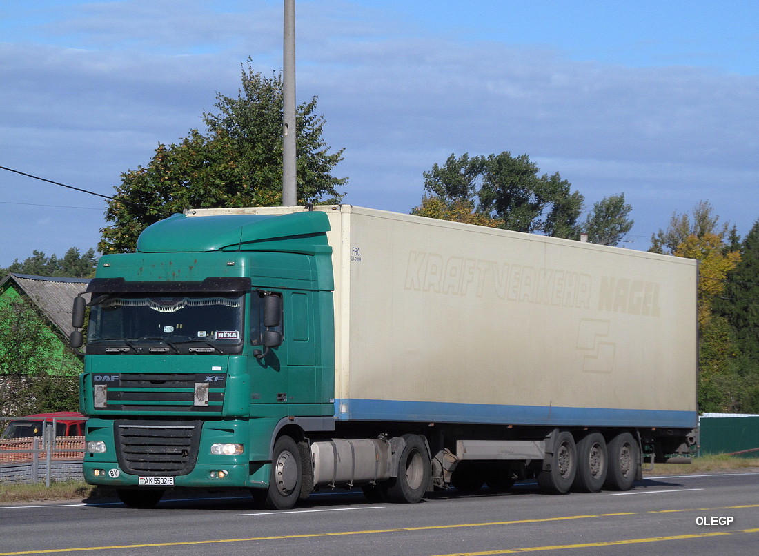 Могилёвская область, № АК 5502-6 — DAF XF95 FT