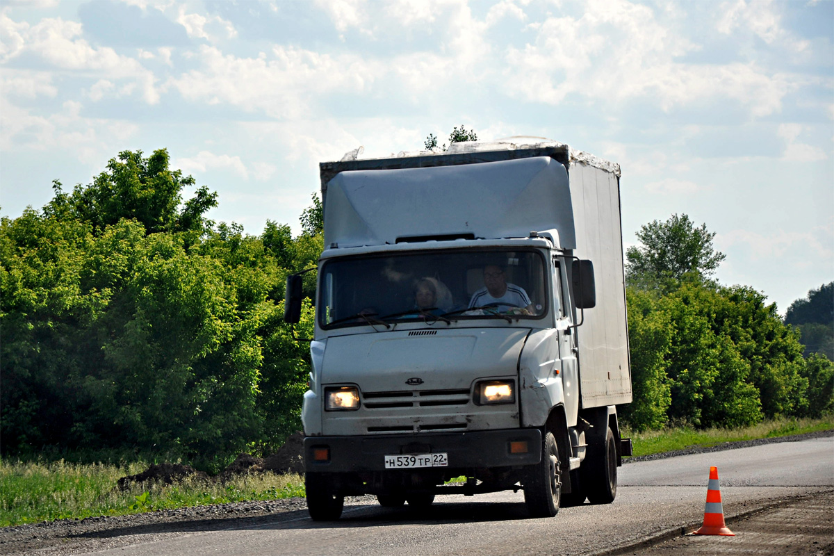 Алтайский край, № Н 539 ТР 22 — ЗИЛ-5301ПО "Бычок"