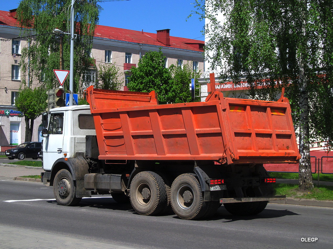 Витебская область, № АМ 5217-2 — МАЗ-5516 (общая модель)