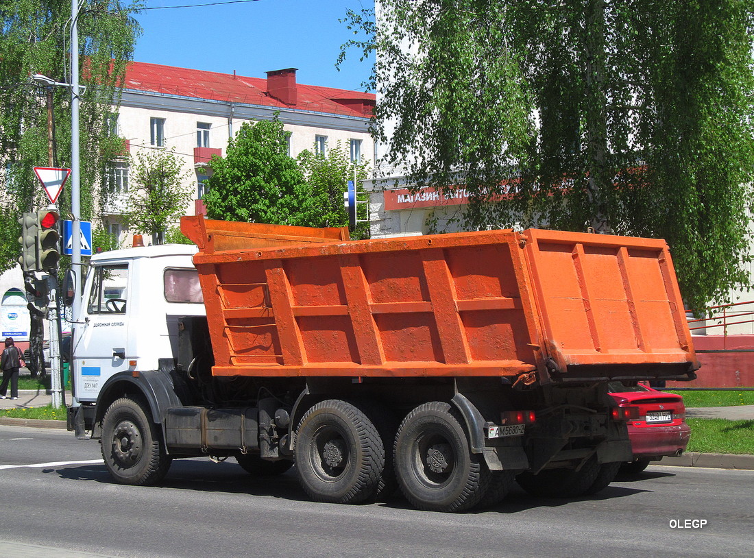 Витебская область, № АМ 5680-2 — МАЗ-5516 (общая модель)