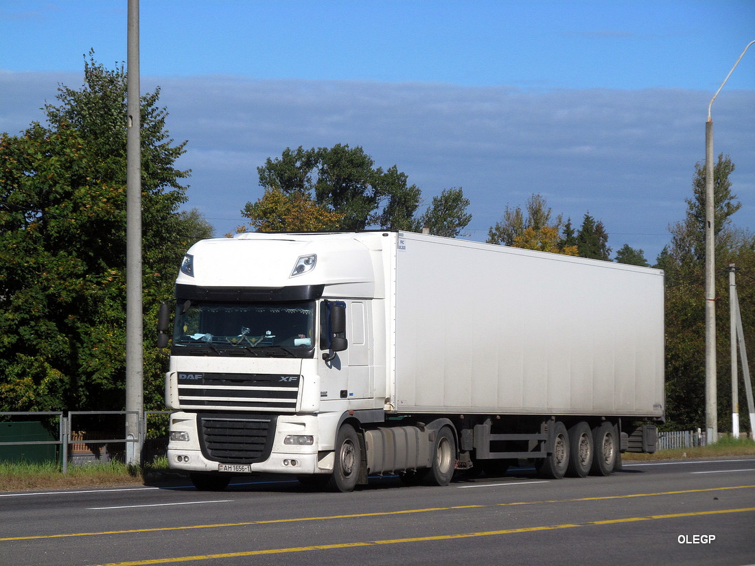 Брестская область, № АН 1656-1 — DAF XF105 FT