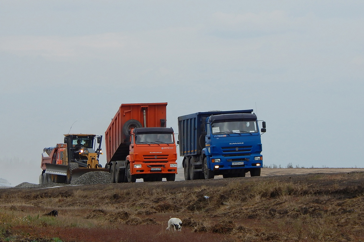 Белгородская область, № О 652 НА 31 — КамАЗ-6520 (общая модель); Белгородская область, № О 813 ЕМ 31 — КамАЗ-6520-43