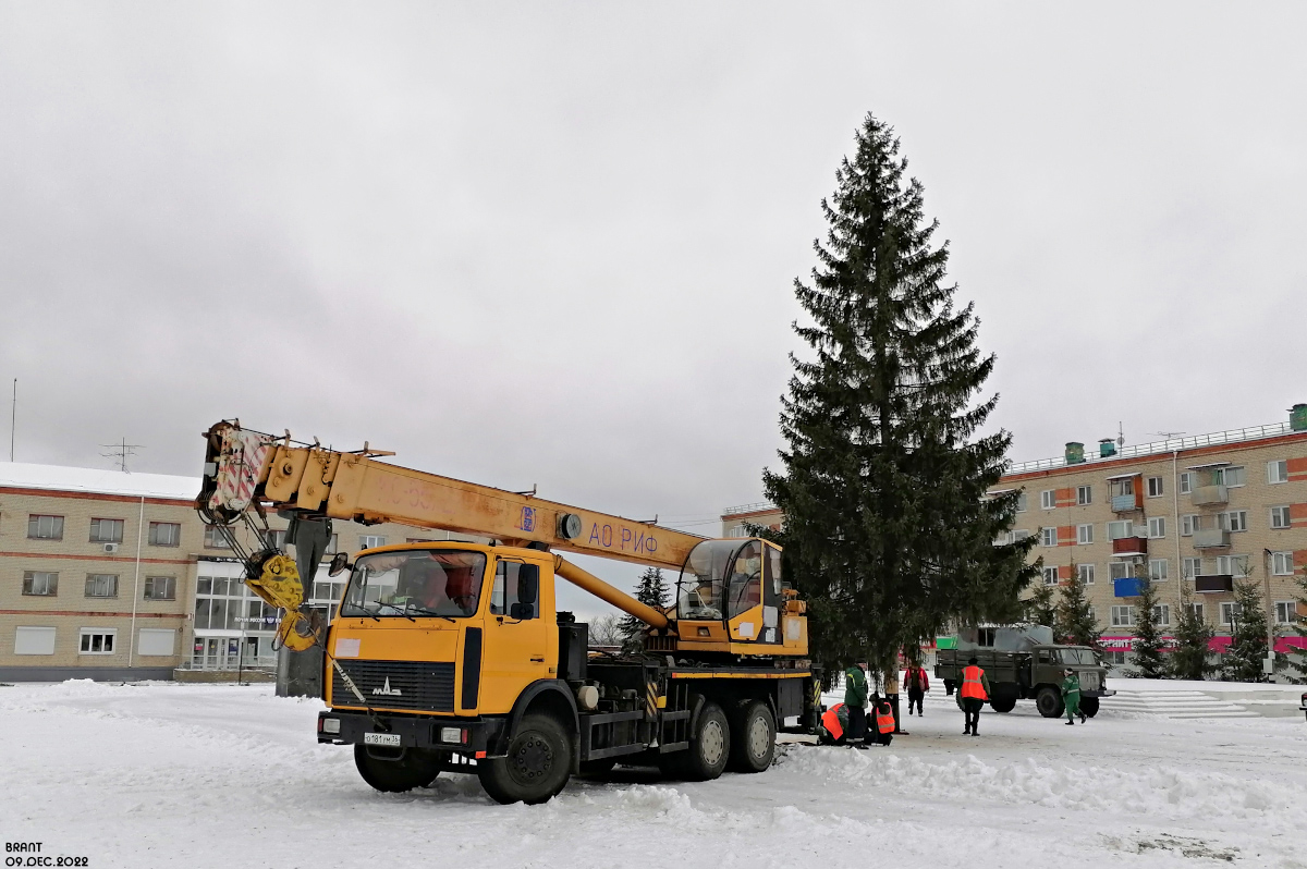 Воронежская область, № О 181 УМ 36 — МАЗ-6303A3