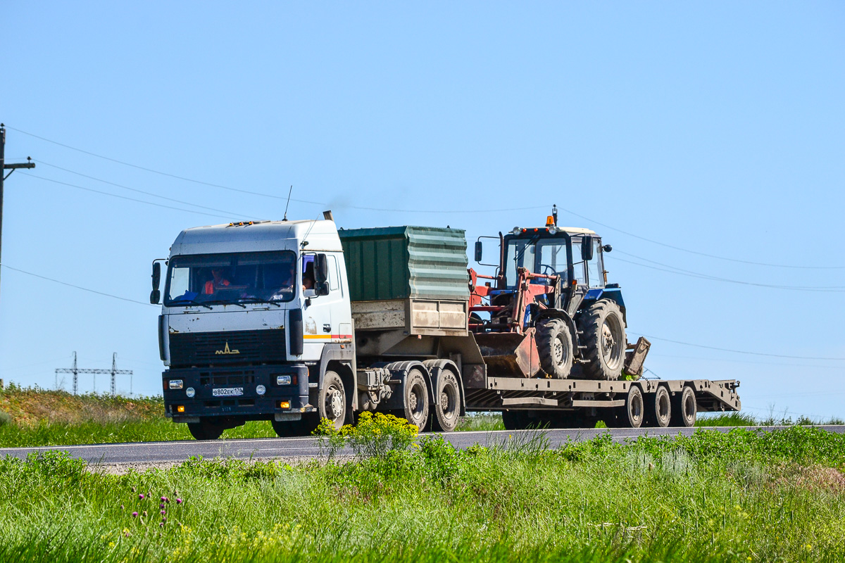 Волгоградская область, № В 802 ЕК 178 — МАЗ-6430A8