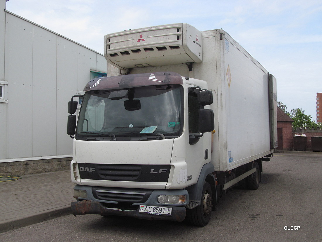 Минская область, № АС 8591-5 — DAF LF45 FA