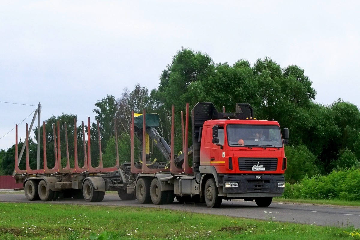 Брестская область, № АН 8051-1 — МАЗ-6312 (общая модель)