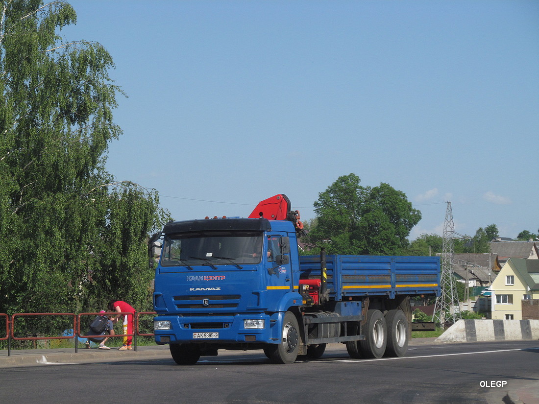 Витебская область, № АК 9895-2 — КамАЗ-65115 (общая модель)