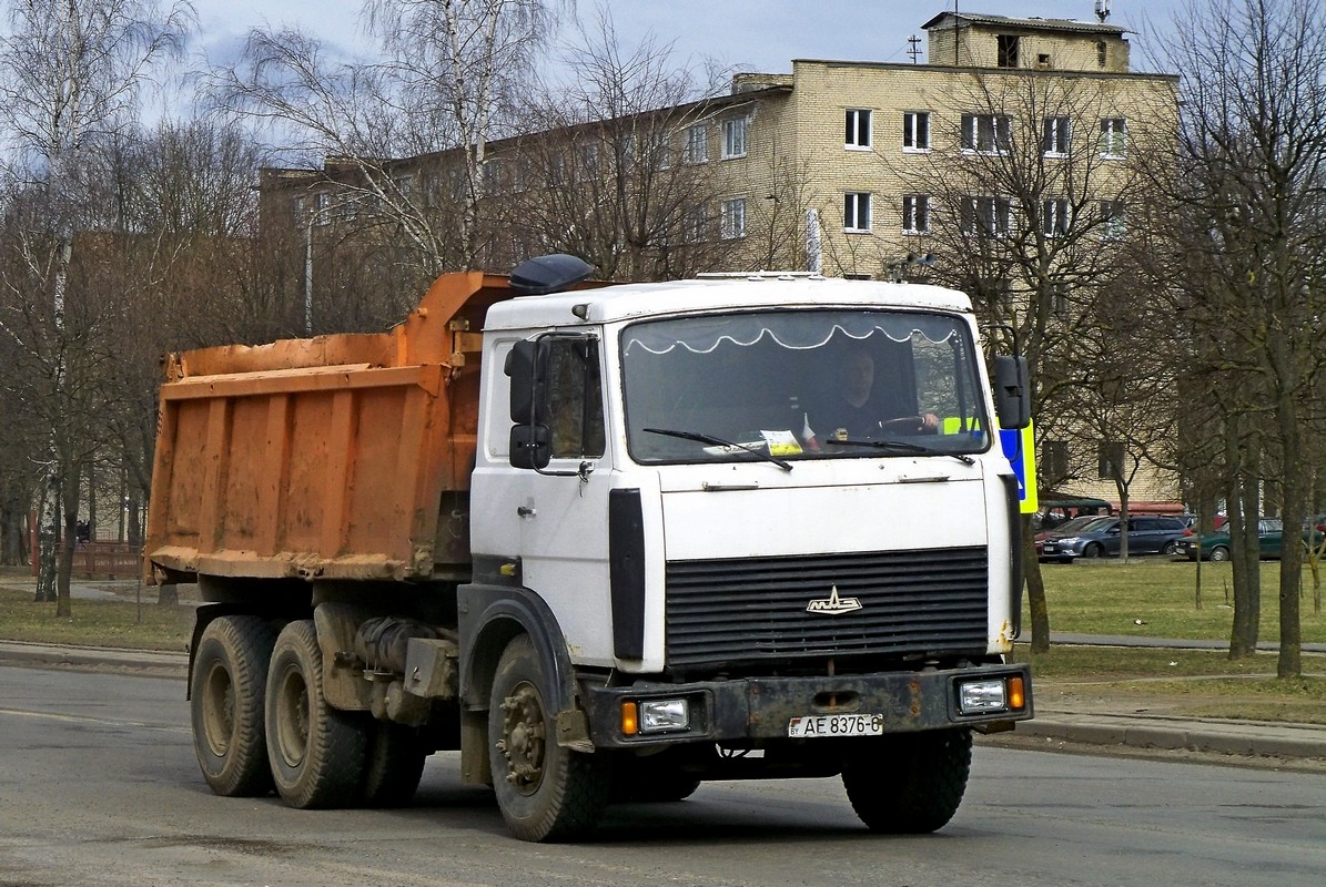 Могилёвская область, № АЕ 8376-6 — МАЗ-5516 (общая модель)