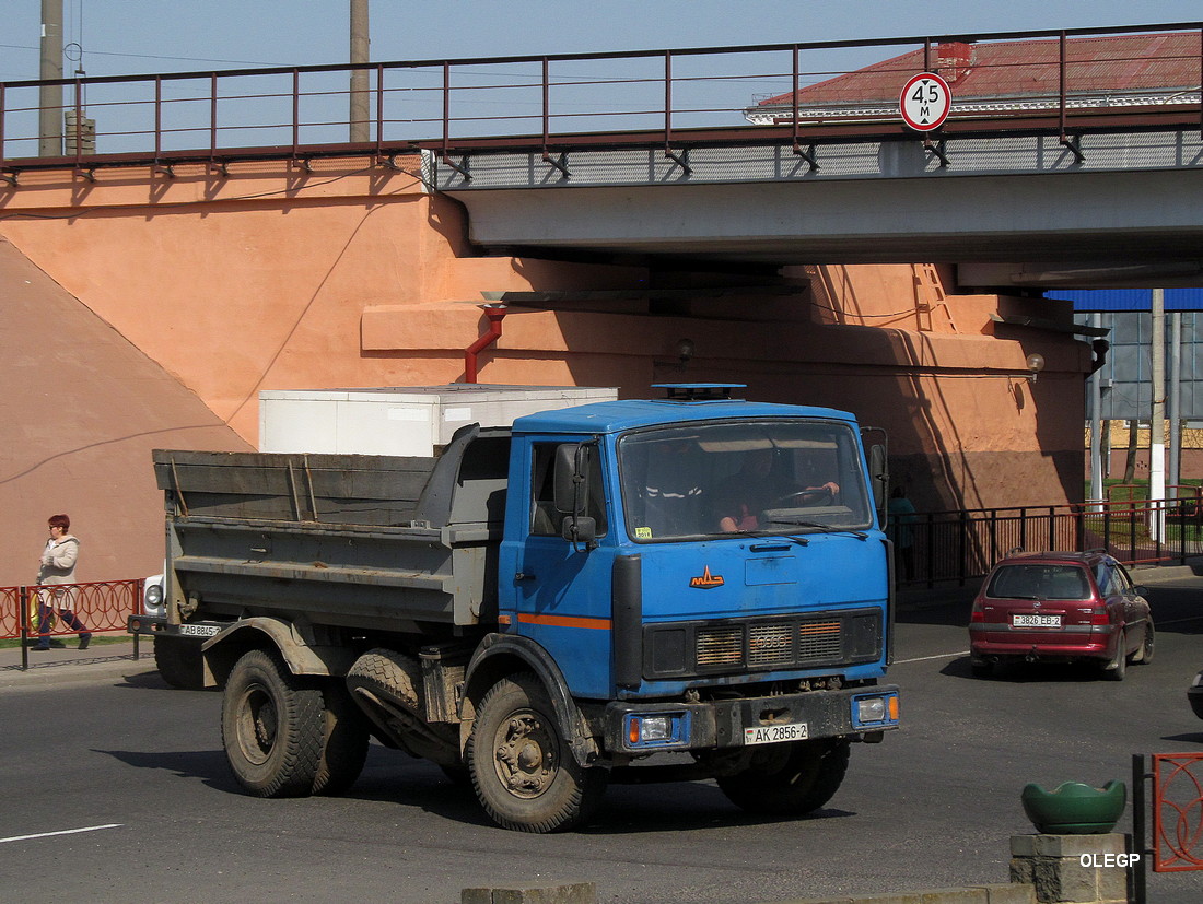 Витебская область, № АК 2856-2 — МАЗ-5551 [555100]