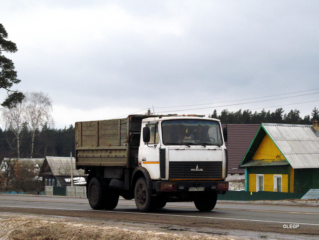 Минская область, № АА 7917-5 — МАЗ-5551 (общая модель)