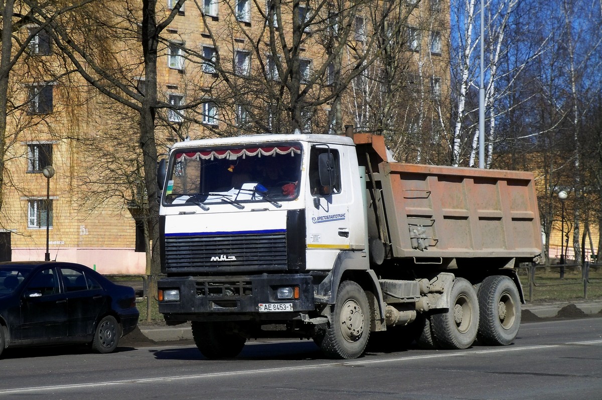 Брестская область, № 8 — МАЗ-6501 (общая модель)