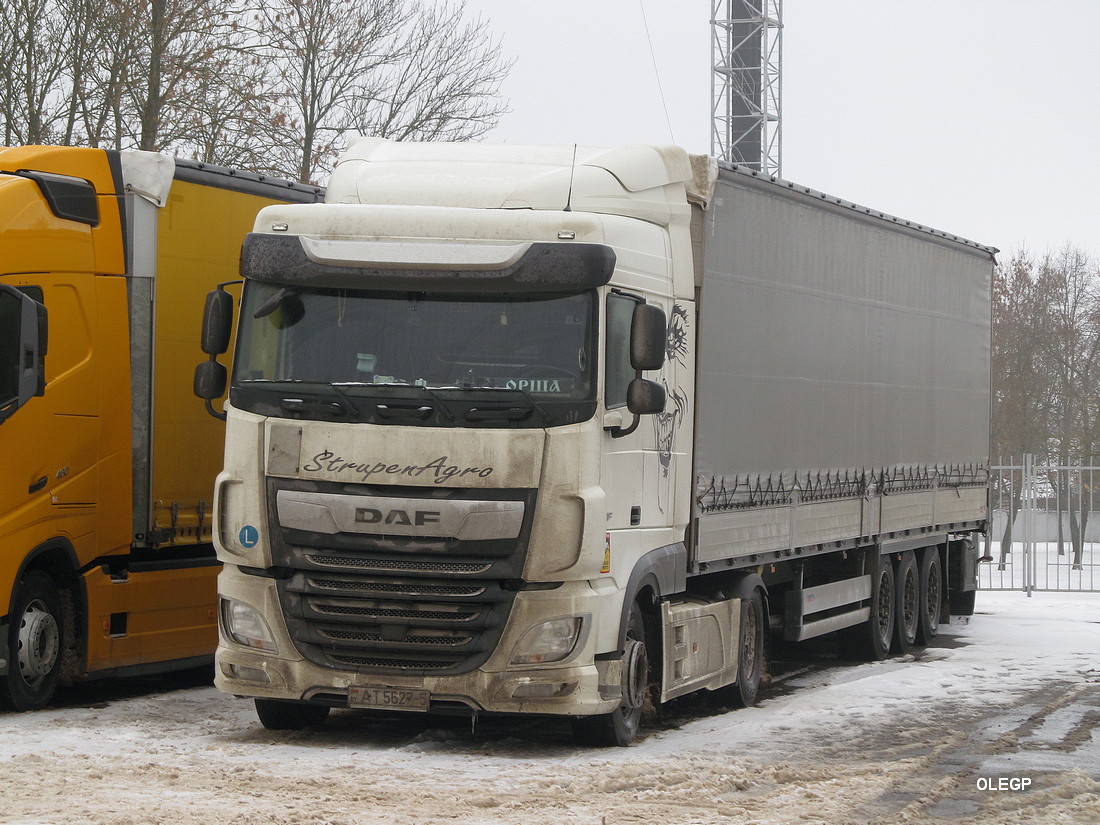 Минская область, № АТ 5627-5 — DAF XF Euro6 FT