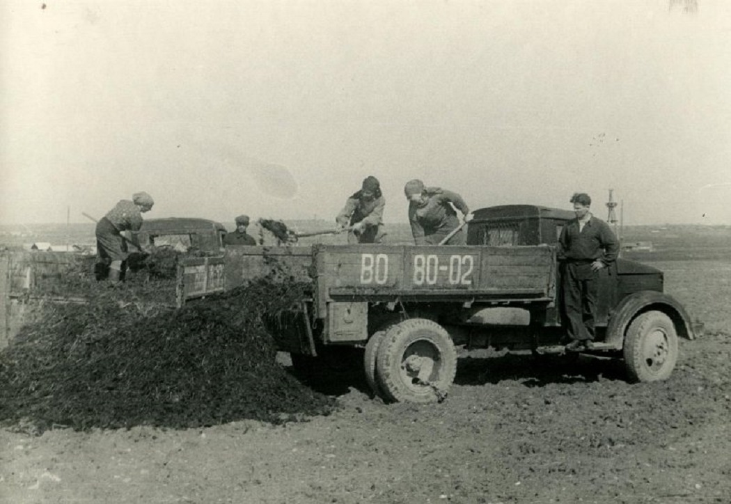 Вологодская область, № ВО 80-02 — ГАЗ-51; Вологодская область — Исторические фотографии (Автомобили)