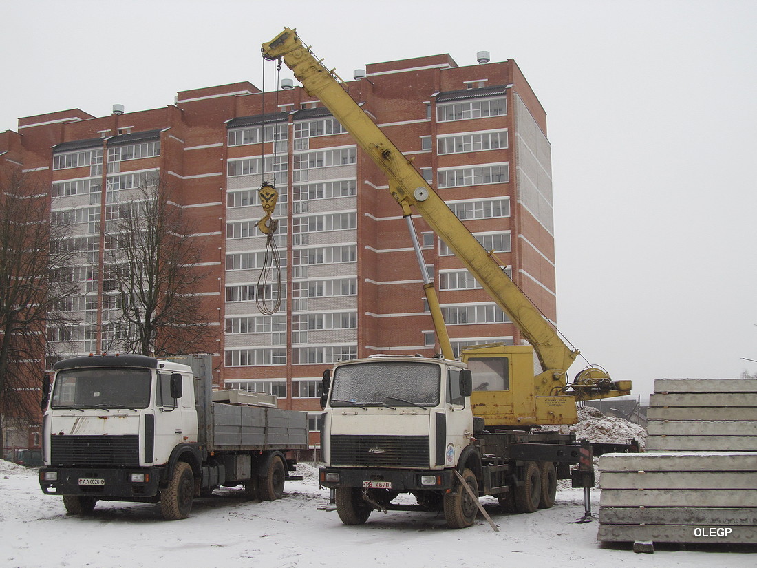 Могилёвская область, № ТВ 4620 — МАЗ-6303 (общая модель)