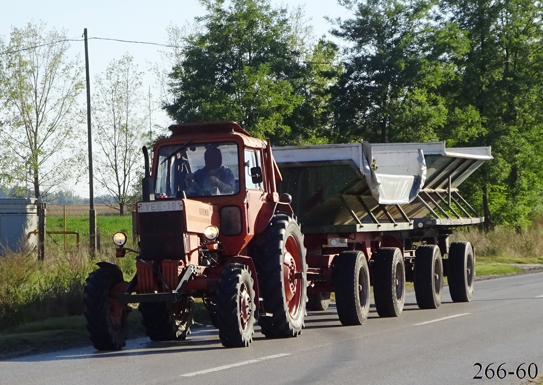 Венгрия, № YEE-181 — МТЗ-80; Венгрия — Сбор винограда в Венгрии