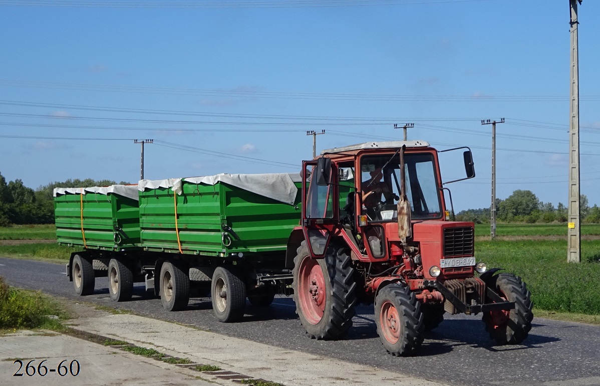 Венгрия, № YDB-647 — МТЗ-82; Венгрия — Сбор винограда в Венгрии