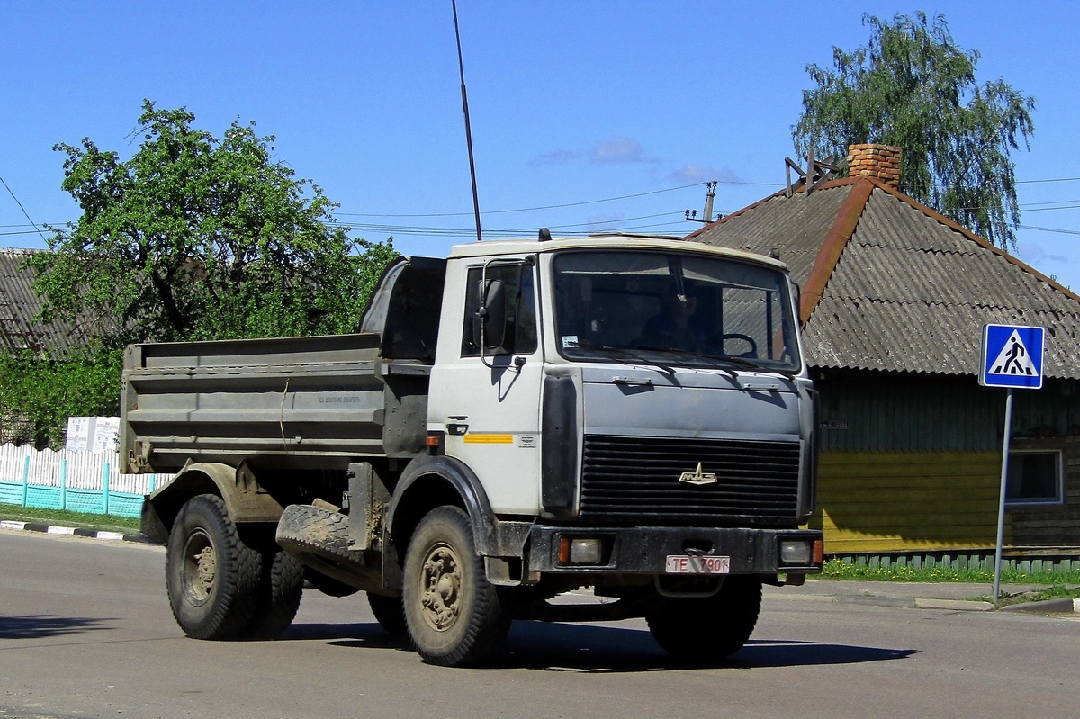 Могилёвская область, № ТЕ 7901 — МАЗ-5551 (общая модель)