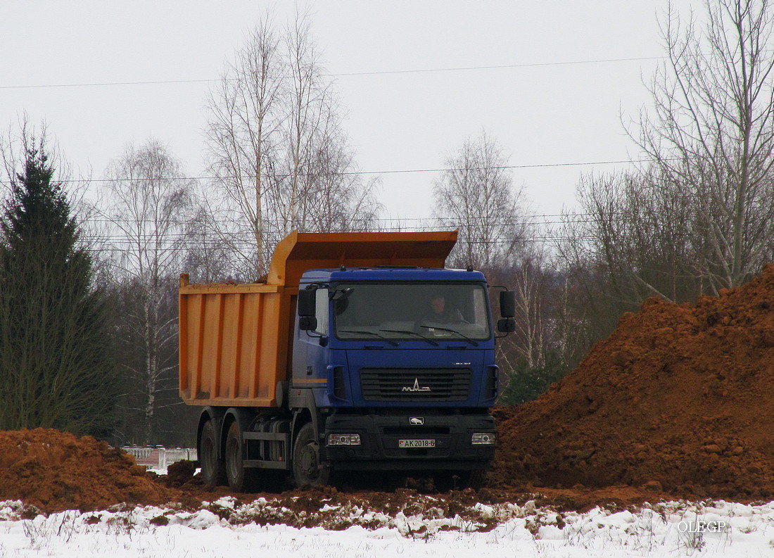 Могилёвская область, № АК 2018-6 — МАЗ-6501 (общая модель)