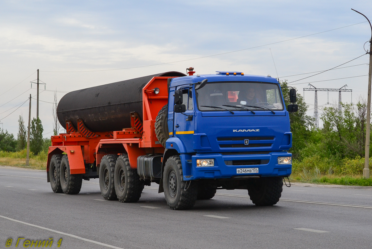 Волгоградская область, № В 246 МВ 134 — КамАЗ-43118-46