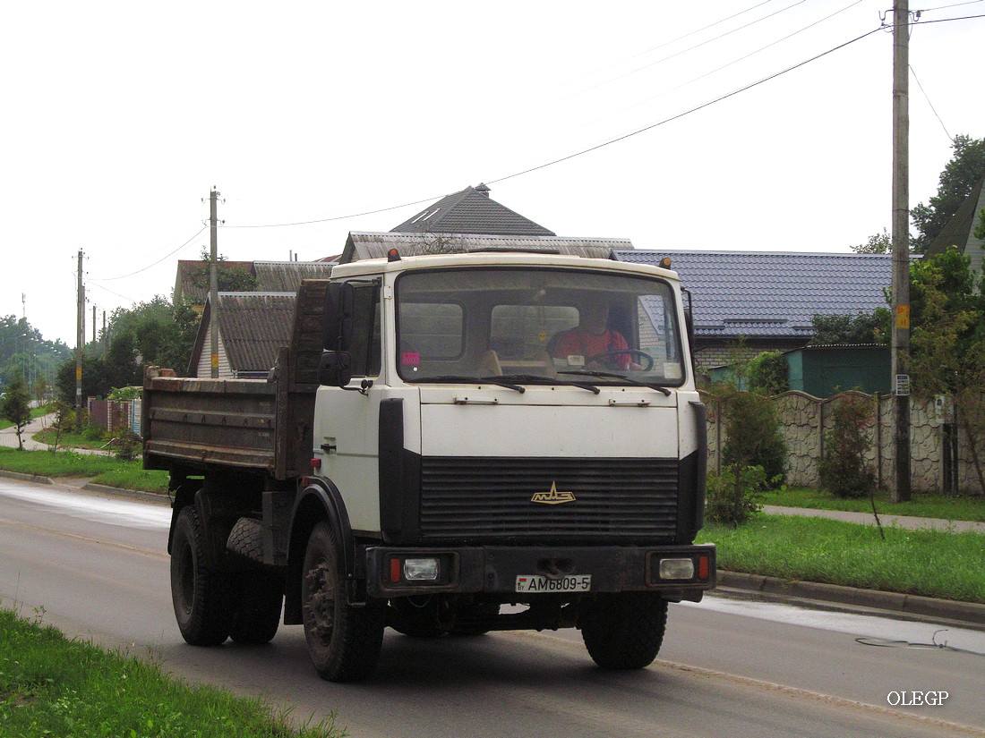 Минская область, № АМ 6809-5 — МАЗ-5551 (общая модель)